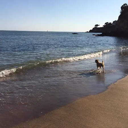 Chalet Entero 3 Saint-marc-sur-mer *